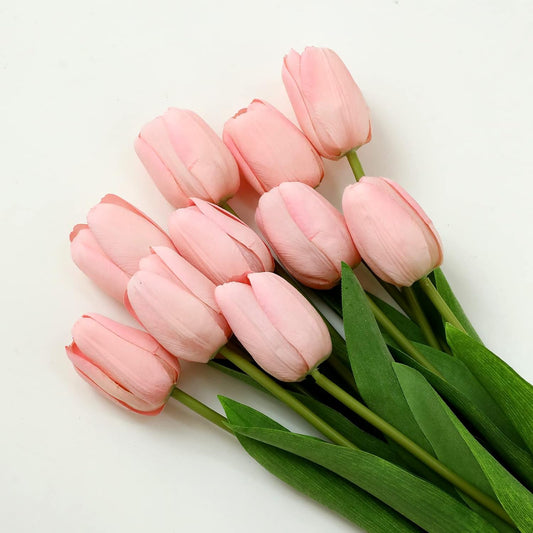 10Pcs Long Stem Tulips Flower - Blush