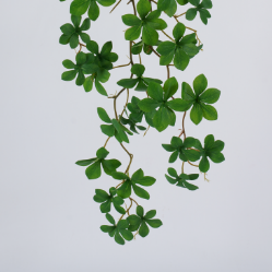 Japanese Enkianthus Leaves