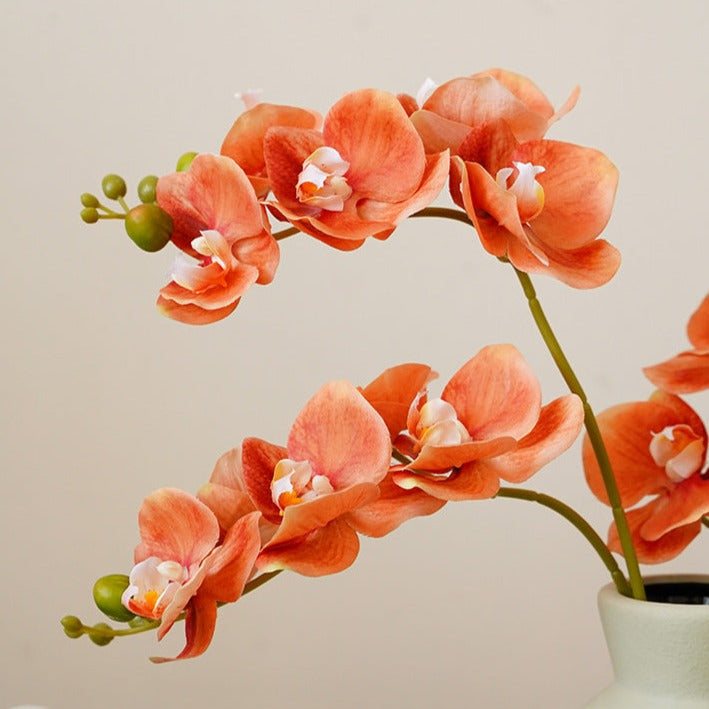 Real Touch Moth Orchids